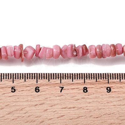 Natural Freshwater Shell Beads SHEL-B003-01K-1