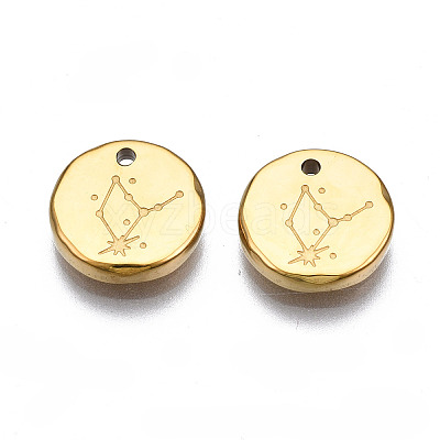 316 Surgical Stainless Steel Charms STAS-S116-418D-G-1