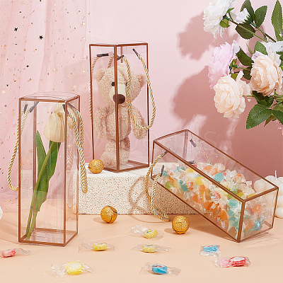 Transparent PET Plastic Gift Tote Boxes CON-WH0085-61C-01-1