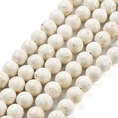 Natural Fossil Beads Strands G-H026-02D-1