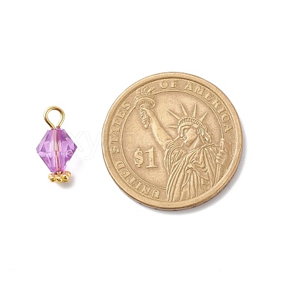 Transparent Acrylic Pendants PALLOY-JF01834-04-1