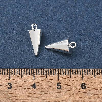 304 Stainless Steel Pendants STAS-G214-47S-02-1