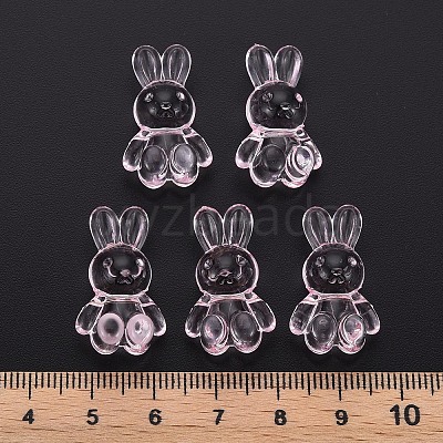 Transparent Acrylic Beads LS-MACR-S373-81-B03-1