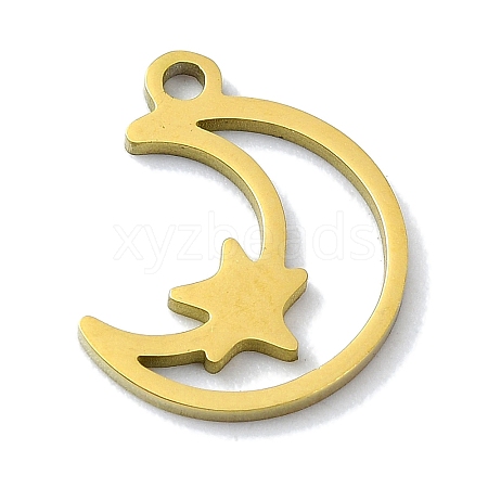 304 Stainless Steel Charms STAS-C097-23G-1