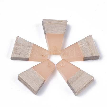 Resin & Wood Pendants RESI-S358-52E-1