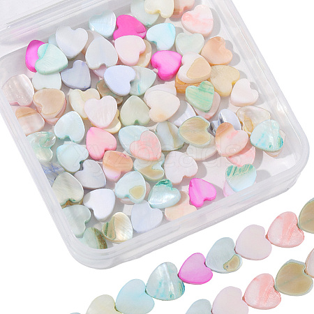 2 Strands Macaron Color Natural Shell Beads Strands SHEL-SC0001-88C-1