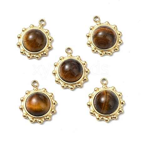 Natural Tiger Eye Charms STAS-L080-009G-09-1