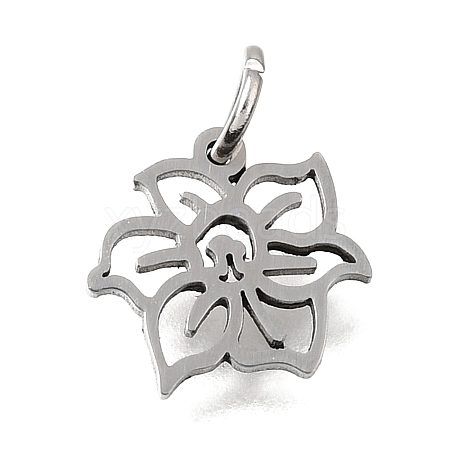 304 Stainless Steel Charms SA-CBA4CE0-01P-C-1