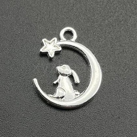 Alloy Pendants FIND-CJC0004-61S-1