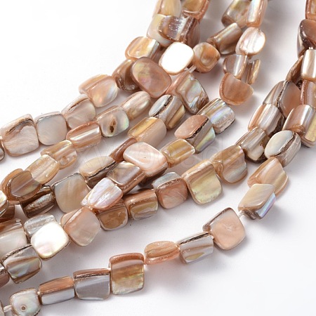 Erose Natural Shell Beads Strands X-PBB071Y-1