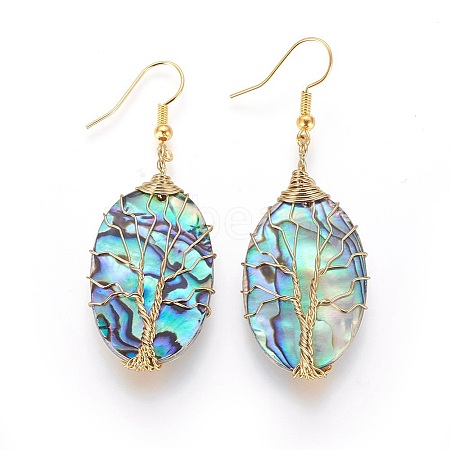 Abalone Shell/Paua Shell Dangle Earrings LS-EJEW-L235-02G-1
