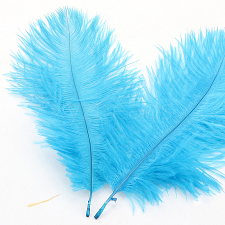 Ostrich Feather Ornament Accessories FEAT-PW0001-002H-1