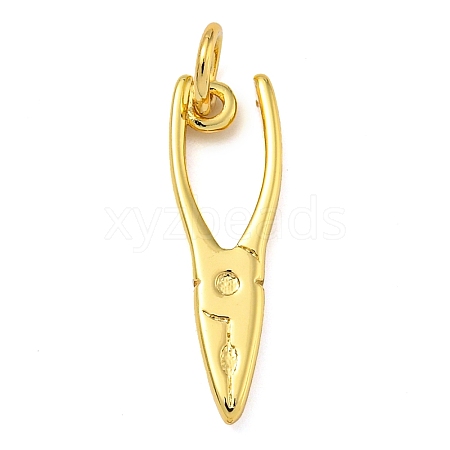 Rack Plating Brass Pendants KK-Z063-30D-G-1