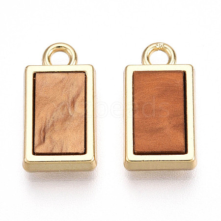 Alloy Charms PALLOY-N177-08G-1