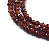 Natural Garnet Beads Strands G-H079-A01-01A-4