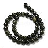 Natural African Green Autumn Jasper Beads Strands G-R494-A19-04-2