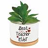 Ceramics Planters DJEW-WH0592-005-1