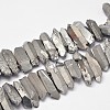 Electroplated  Natural Quartz Crystal Beads Strands G-A142-03I-1