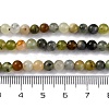 Natural New Jade Beads Strands G-F591-16-5MM-5