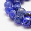 Faceted Natural Dragon Veins Agate Beads Strands G-F447-10mm-E01-3