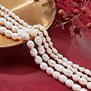  4Strands 2 Styles Natural Cultured Freshwater Pearl Beads Strands PEAR-NB0001-64-6