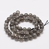 Natural Black Moonstone Beads Strands G-F306-06-8mm-2