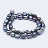 Natural Cultured Freshwater Pearl Beads Strands PEAR-K004-02B-2