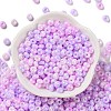 Glass Seed Beads SEED-L011-03A-13-2