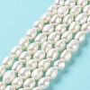 Natural Cultured Freshwater Pearl Beads Strands PEAR-Z002-21-2