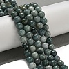 Natural Myanmar Jadeite Beads Strands G-B099-C06-04-2