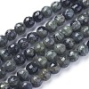 Natural Kambaba Jasper Beads Strands G-P430-11-B-2