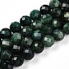 Natural Fuchsite Beads Strands G-S345-10mm-33-1