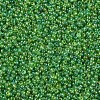 12/0 FGB Grade A Round Glass Seed Beads SEED-Q010-F549-2