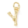 Brass Pendants KK-K165-04Y-1