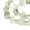 Natural Prehnite Beads Strands G-Z014-18-2