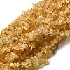 Gemstone Beads Strands X-F044-1