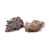 Natural Leopard Skin Jasper Pendants G-I336-01-08-2