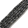 Natural Larvikite Beads Strands G-D474-01-1