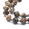 Natural Black Moonstone Beads Strands G-E569-C04-3