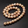 Natural Sea Shell Beads Strands SSHEL-K013-10mm-B-2