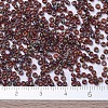 MIYUKI Round Rocailles Beads X-SEED-G007-RR4503-3