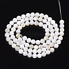 Freshwater Shell Beads Strands SHEL-T011-01-5mm-2