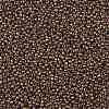 TOHO Round Seed Beads X-SEED-TR11-1704-2