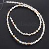 Natural Freshwater Shell Beads Strands SHEL-N027-08B-3