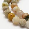 Natural Bamboo Leaf Agate Beads Strands G-K194-8mm-01-3