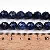 Natural Sodalite Beads Strands G-S345-10mm-26-5