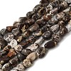 Natural Leopard Skin Jasper Beads Strands GG-CBAC13F-A01-01-2