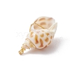 Natural Spiral Shell Pendants PALLOY-JF03316-02-4