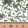 12/0 Glass Seed Beads SEED-S005-11-4