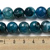 Faceted Natural Dragon Veins Agate Beads Strands G-F447-12mm-P05-5